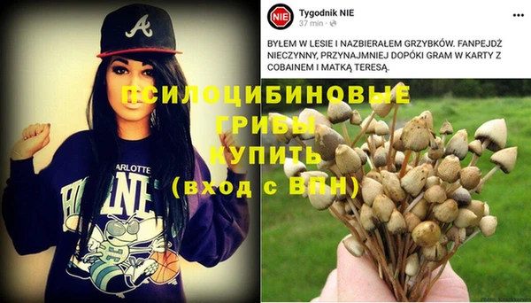 MDMA Premium VHQ Алексеевка