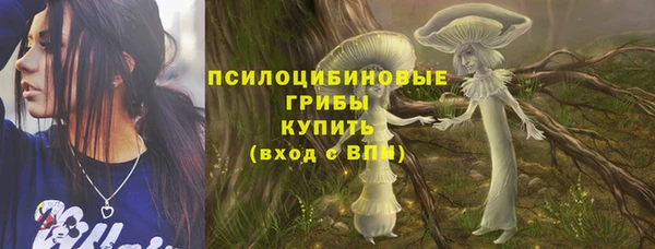 PSILOCYBIN Алексин