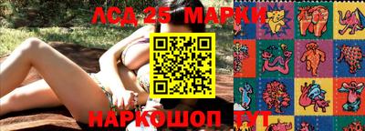 прущие грибы Кингисепп